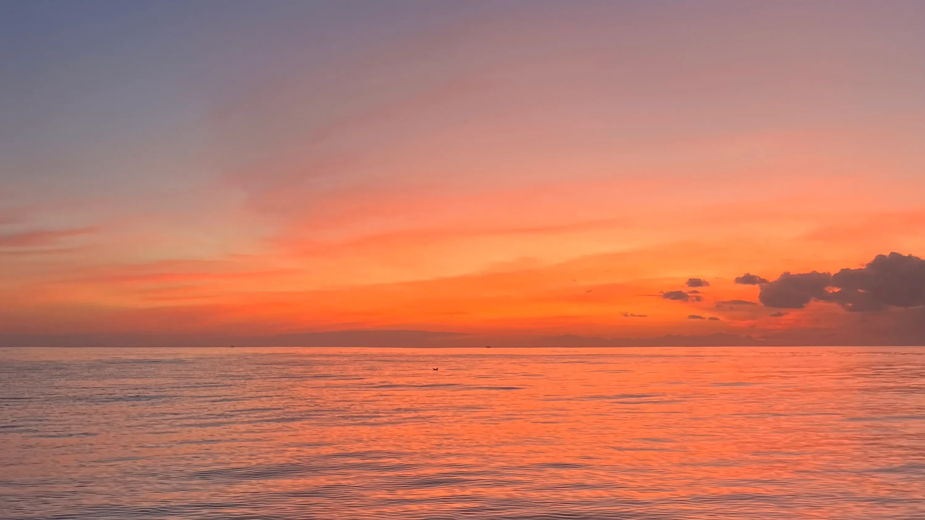 Coucher de soleil — sortie balade à Saint-Jean-de-Luz