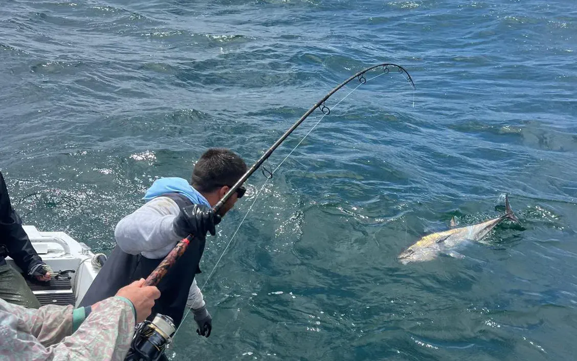 Journée pêche au thon — sortie pêche à Capbreton